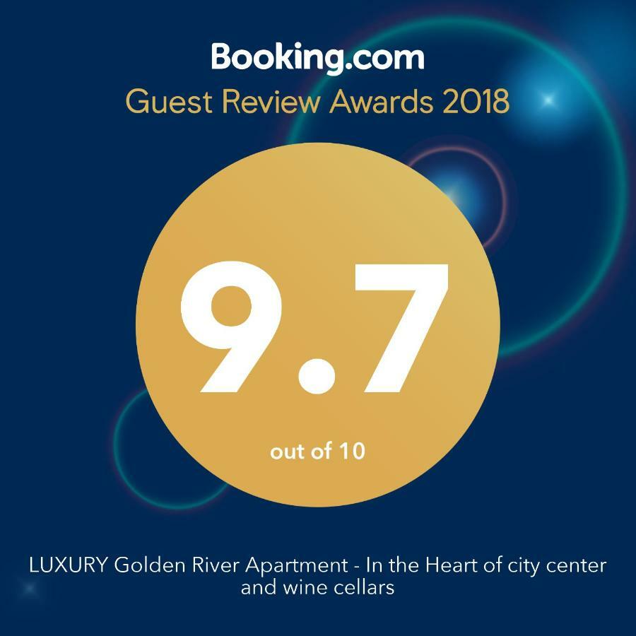 Luxury Golden River Apartment - In The Heart Of City Center And Wine Cellars Вила-Нова-ди-Гая Экстерьер фото